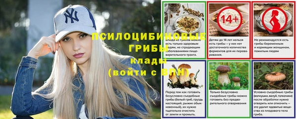 мяу мяу мука Арсеньев